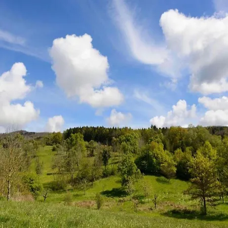 In Mit Pool Apartment Markdorf