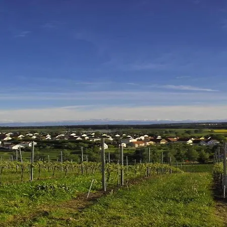 In Mit Pool Apartamento