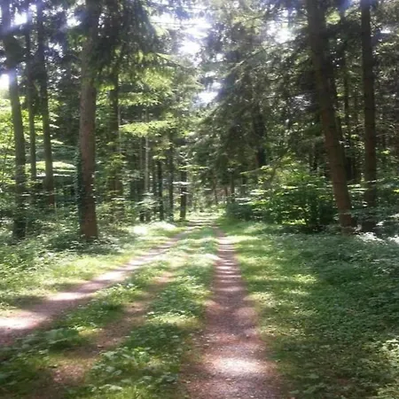 Apartment In Mit Pool *