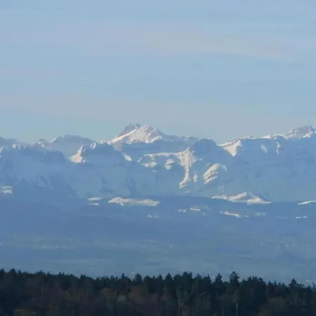 In Mit Pool Apartamento Markdorf