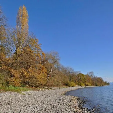 In Mit Pool Apartamento Markdorf