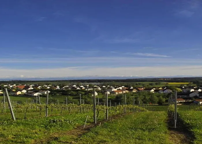 In Mit Pool Lägenhet