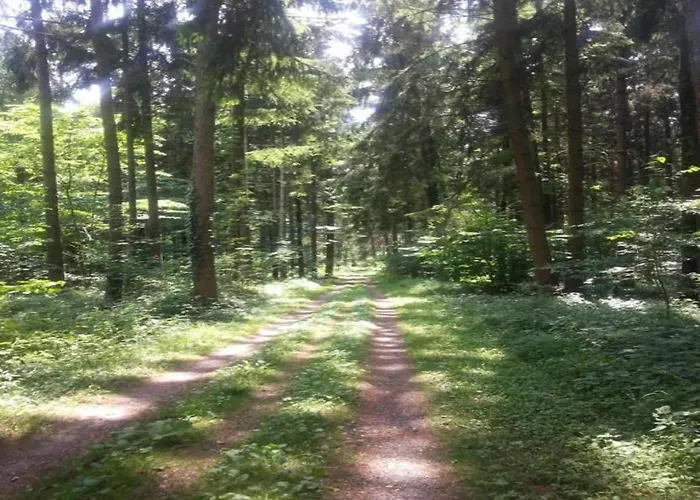 Lägenhet In Mit Pool *