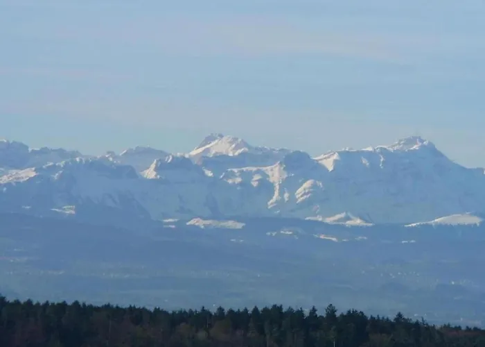 In Mit Pool Lägenhet Markdorf